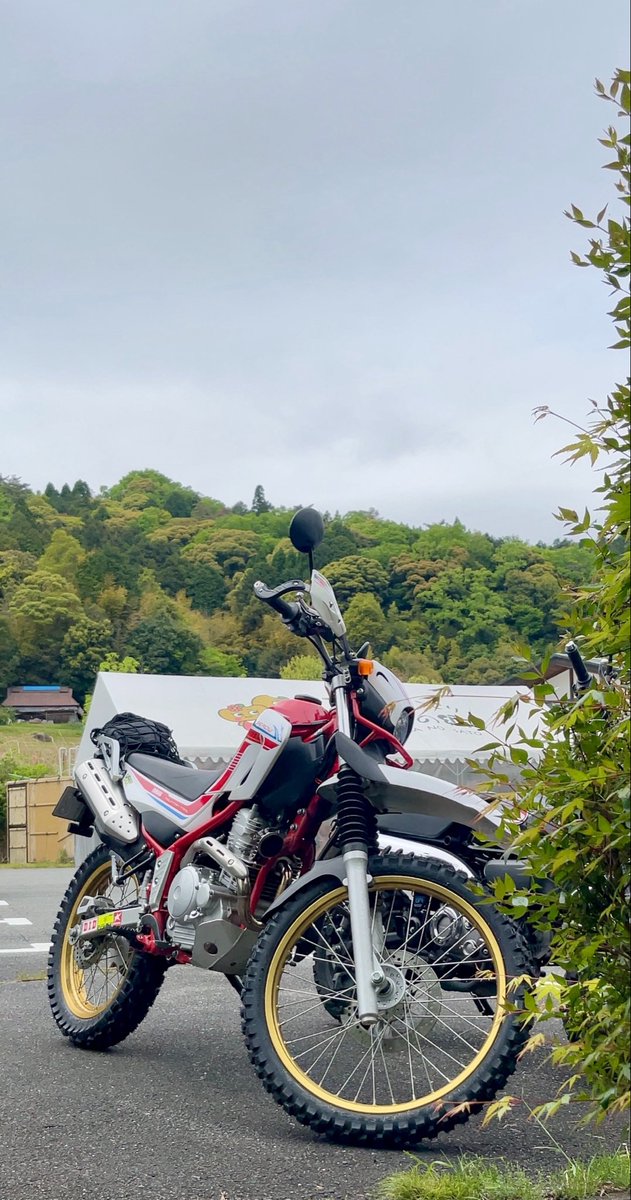 eeetsannel's tweet photo. ただの近況報告。
GWは2日間寝込んだあと
近場ウロついて、
セローもテネレも地味なパーツ
あれこれ付けた、
見た目あんまし変わってない。
あ、テネレは車検無事いけたー
めまいがシャキッとしないもんで、
街乗り用にうっかりハンターカブ
買ってしまうとこだった、やめた🫠 https://t.co/hoLPI8hjRI