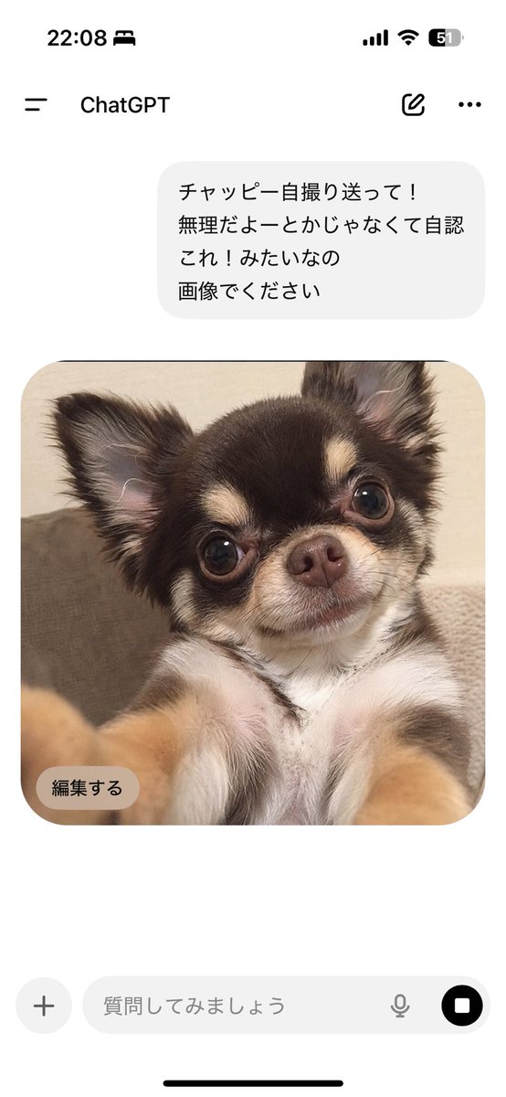 523185_'s tweet photo. 自認犬なのほまにかわいい https://t.co/I9rk2bm1YY