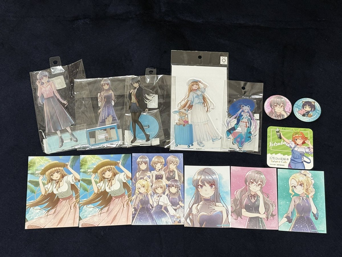 お待たせしました〜‼️
5/1〜4までの戦利品です！！✨

4日間の遠征での疲労のせいで一昨日、昨日はほとんど寝ていたので今日やっとグッズの整理ができましたw🤣
極力抑えたつもりでしたが、結果的にはアクスタ5個も買ってしまいましたw💸

最後に一言
藤沢のドンキあそこエグいっすマジでw😇