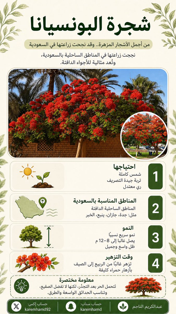عبدالكريم الناجم tweet media