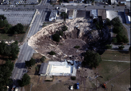 State Library of FL tweet media