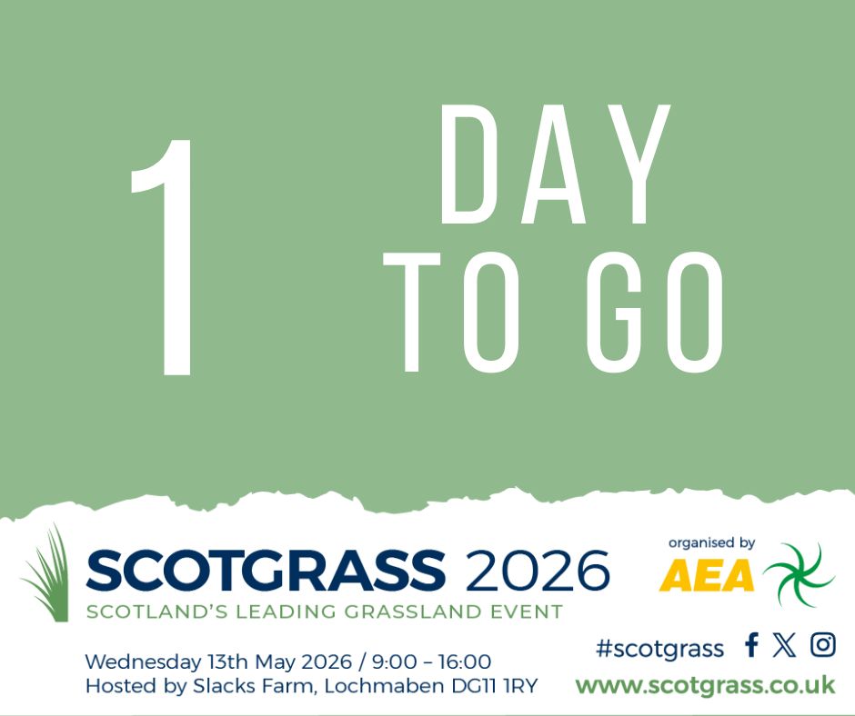 ScotGrass tweet media
