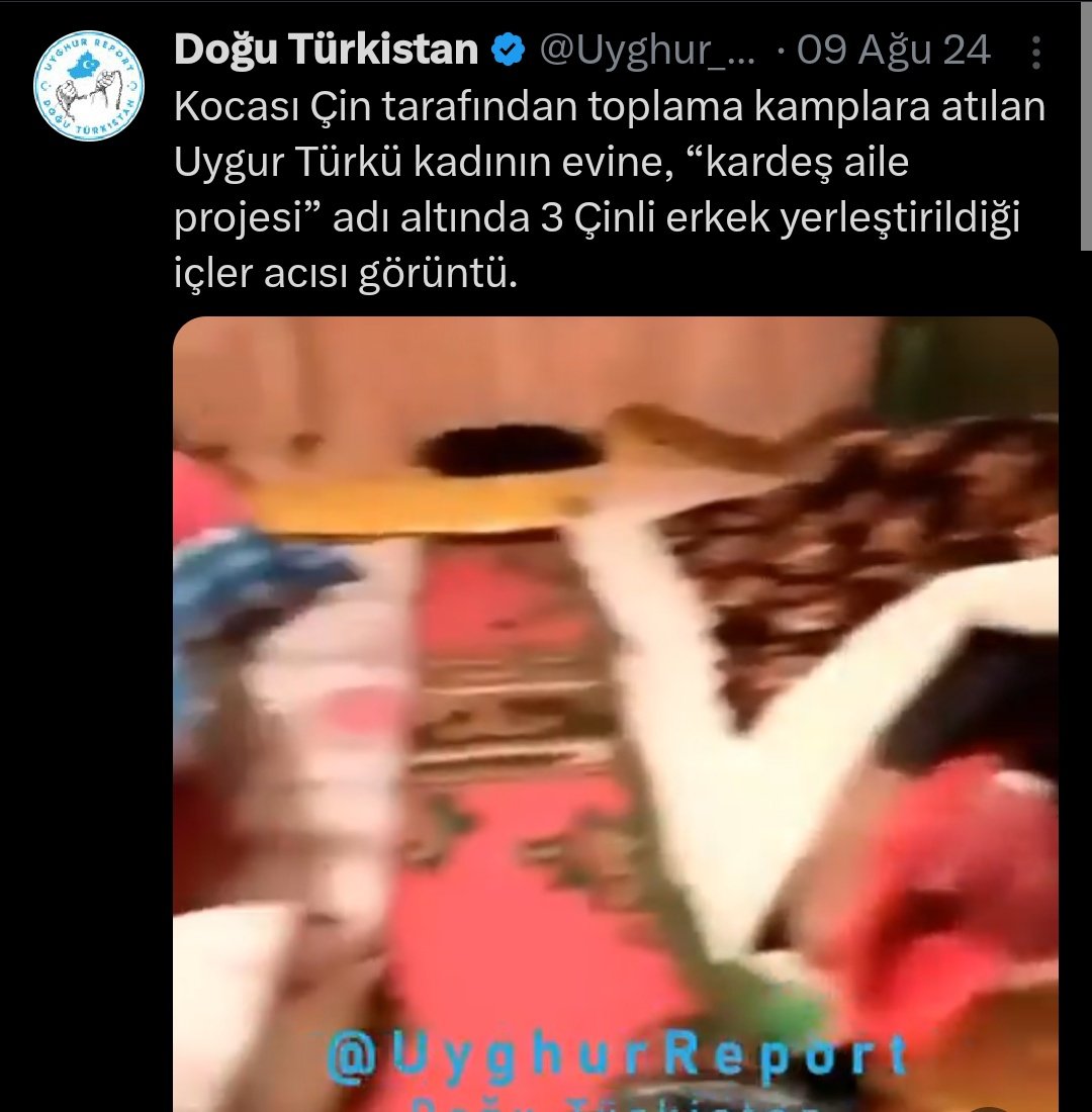 Timrobbiins's tweet photo. @HalileFeat @TheAyico Sen bacını koru oe https://t.co/Se8WY6NSpY