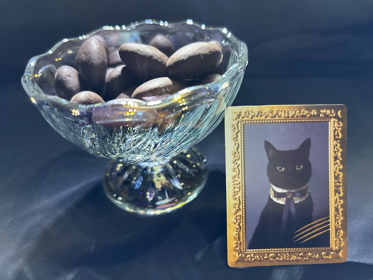 ♡m出品♡ にゃ！にゃんと！🐈‍⬛ 素敵なお写真ありがとうございます🐾