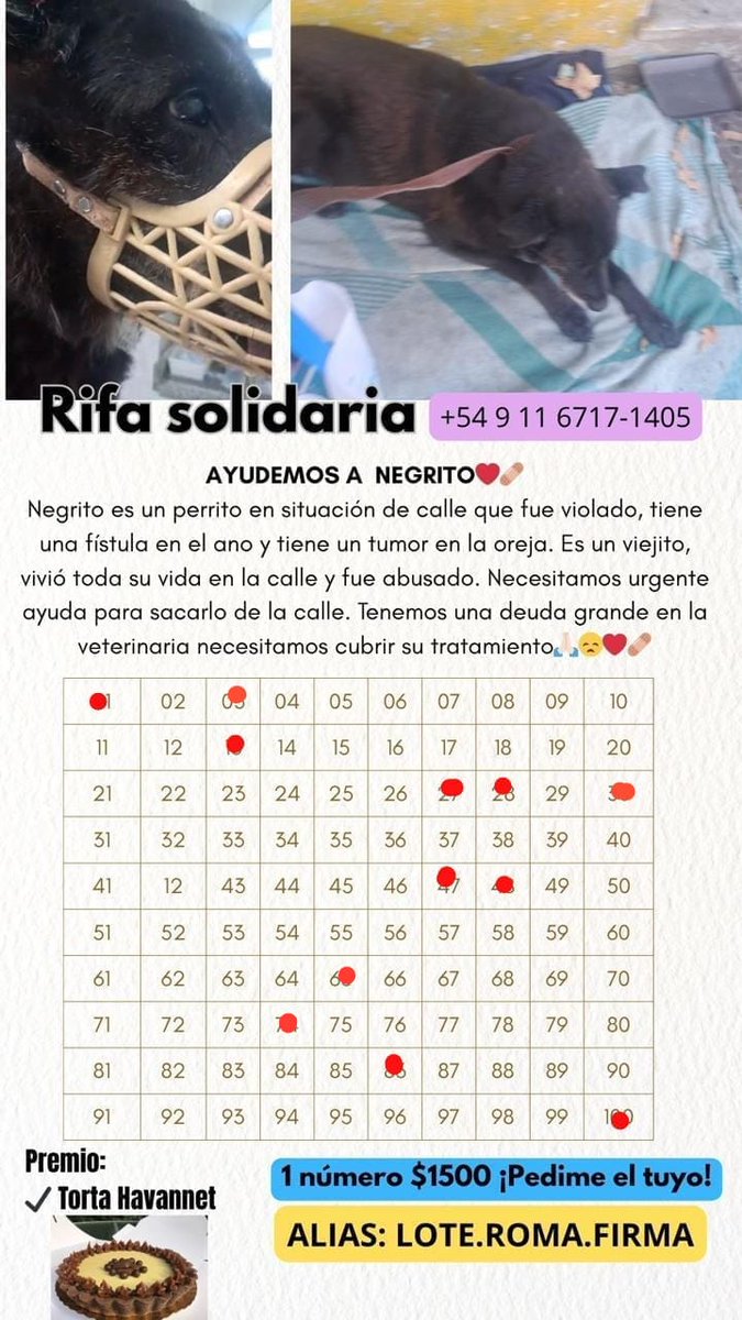 RAQUEL TERESITA MAITA tweet media