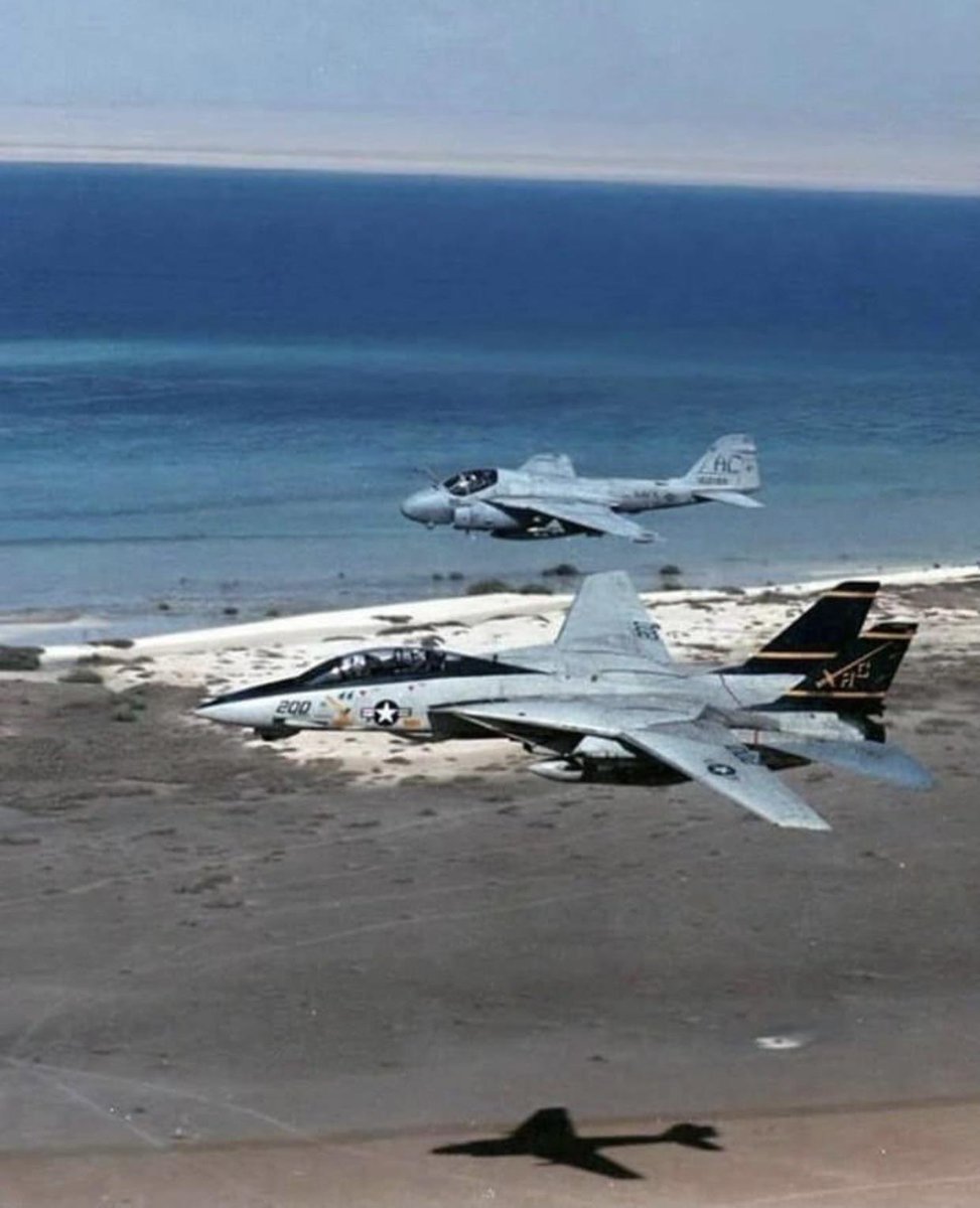 TomcatJunkie🏴☠️ tweet media