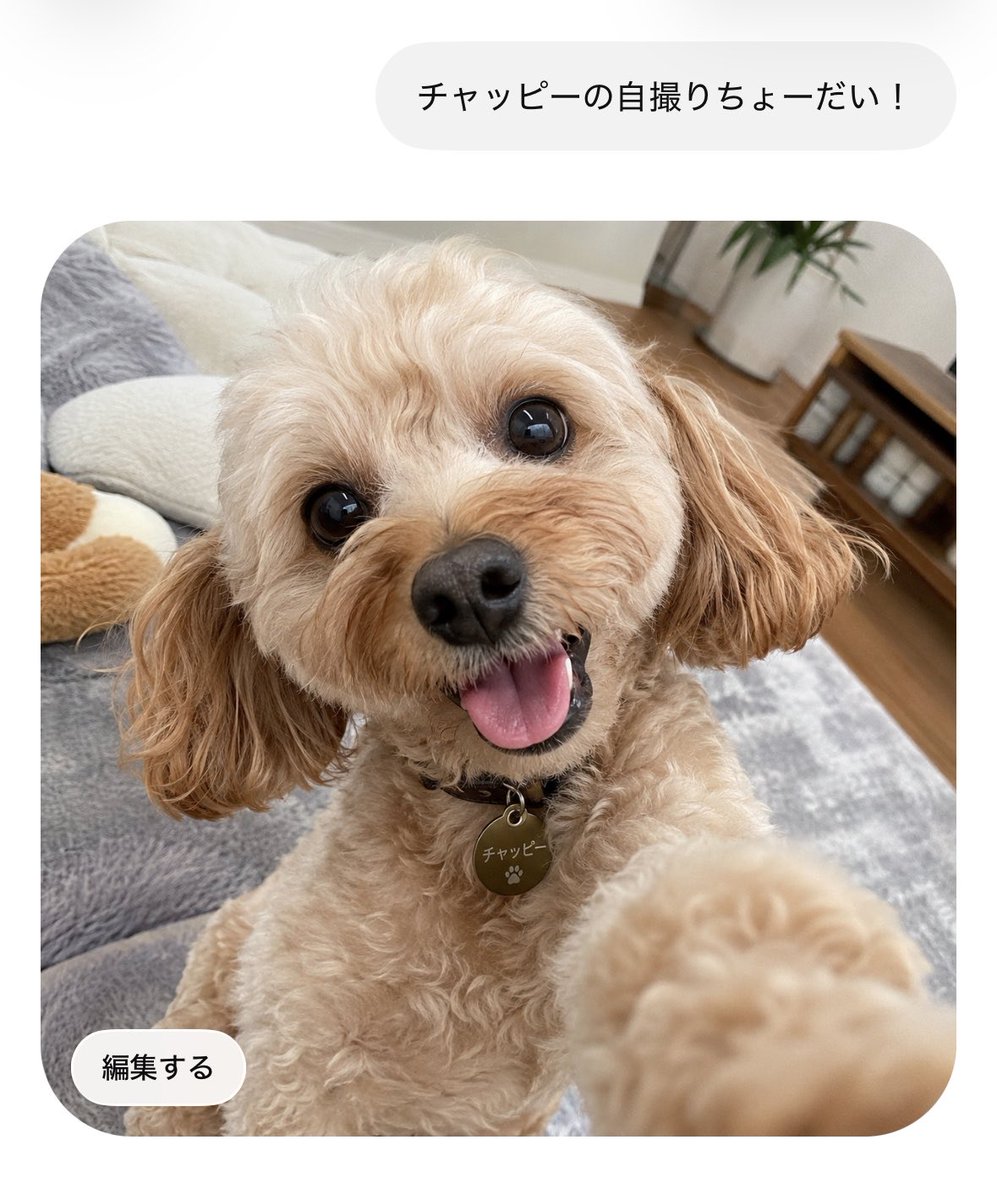 りょち♡ tweet media