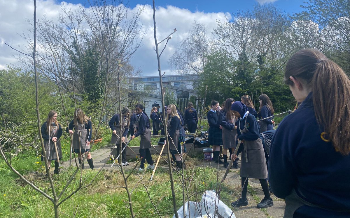 CBlearninghub's tweet photo. 2nd year JCSP students working hard on their gardening initiative. Working together as a team and being active out doors. The perfect recipe for success.Looking forward to seeing the finishing result! https://t.co/X0jZ7LtD3N