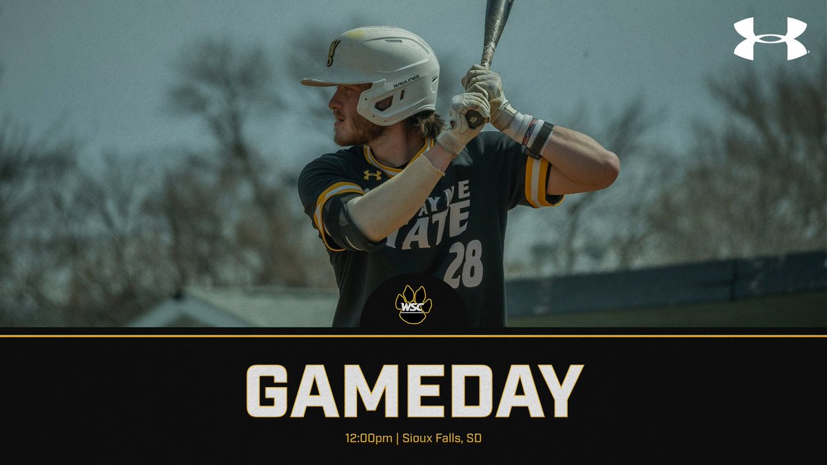 Wayne State Baseball tweet media