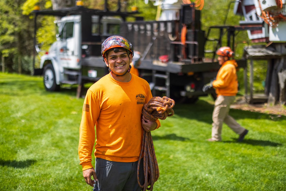 K&J Tree Service tweet media