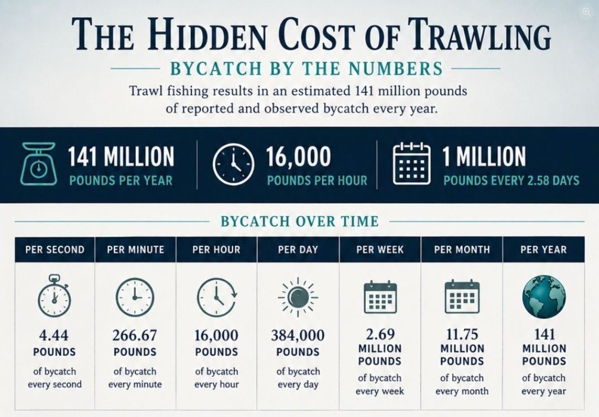 Trawler_Bycatch's tweet photo. The measured waste alone Trawling in Alaska is ecocide. 

The unquantified damages to the seafloor is sickening.

@NOAAFisheries is corrupt for promoting trawling. https://t.co/HGugA9MWZV