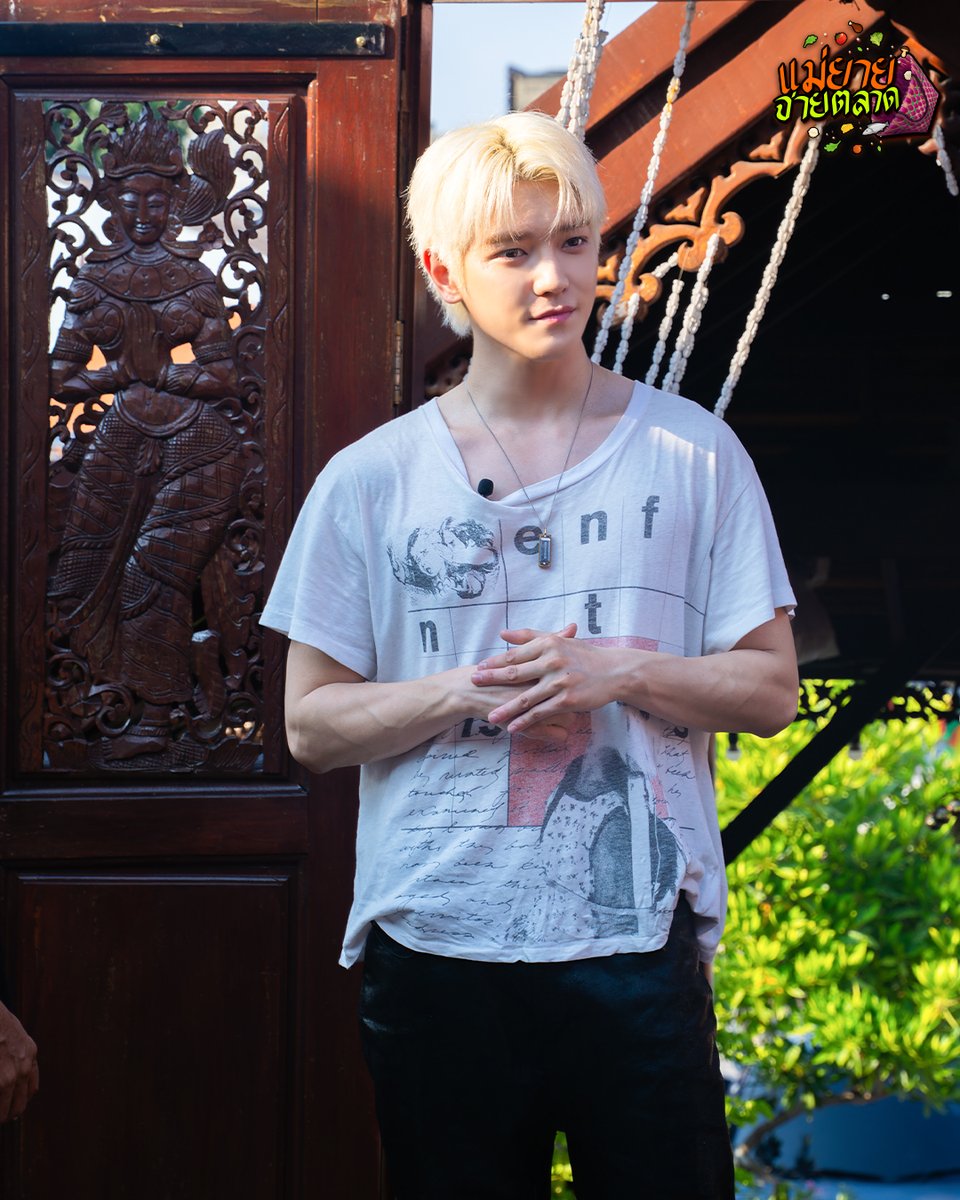 นางแมวป่า tweet media