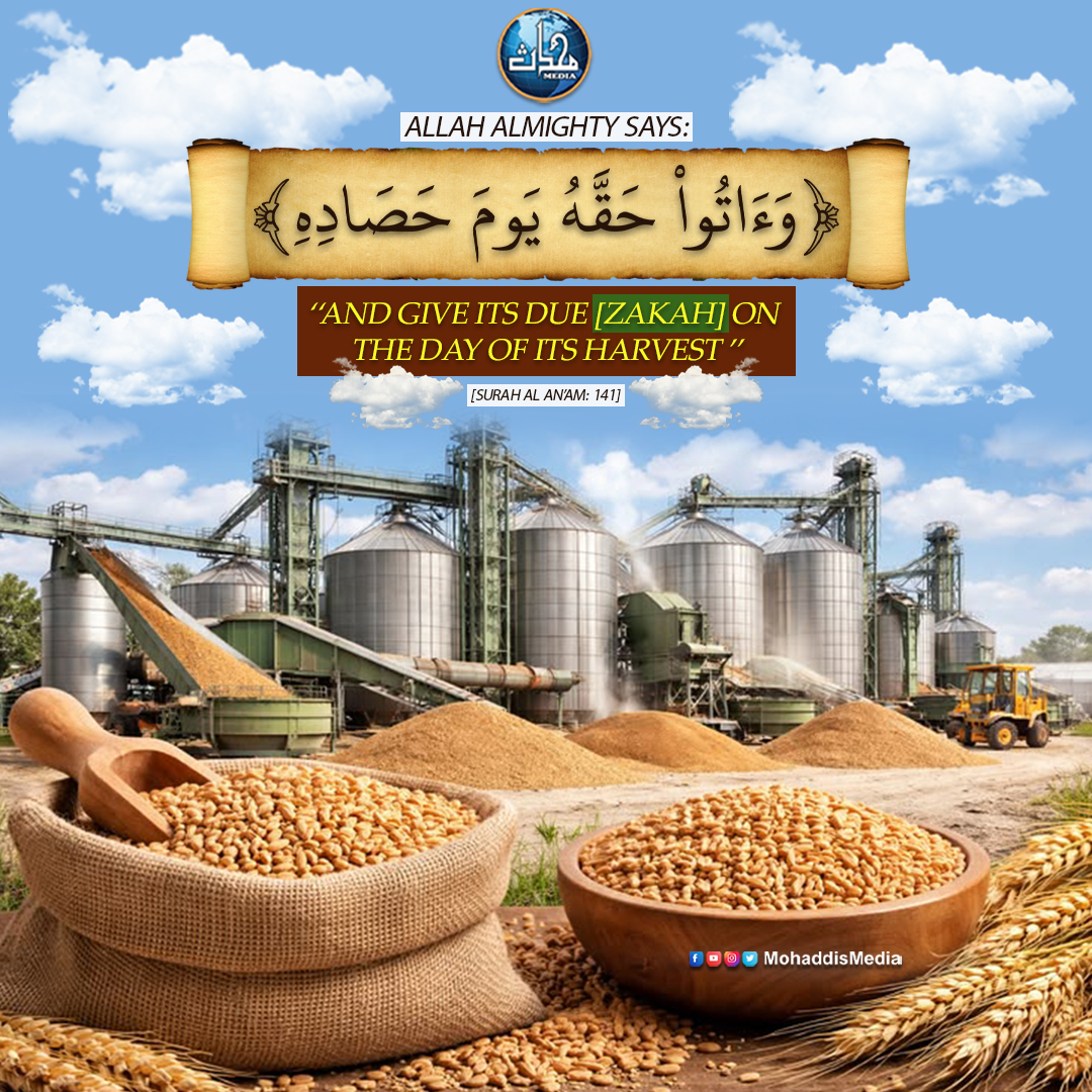 🌾 Pay the ‘Ushr on Your Harvest
Allah says:

“And give its due [Zakah] on the day of its harvest.”
(Surah Al-An‘am: 141)

Wealth increases with gratitude, and charity brings blessings.

#Ushr #Harvest #Charity #IslamicReminder
#HelpTheNeedy #HalalEarnings
#mohaddismedia
