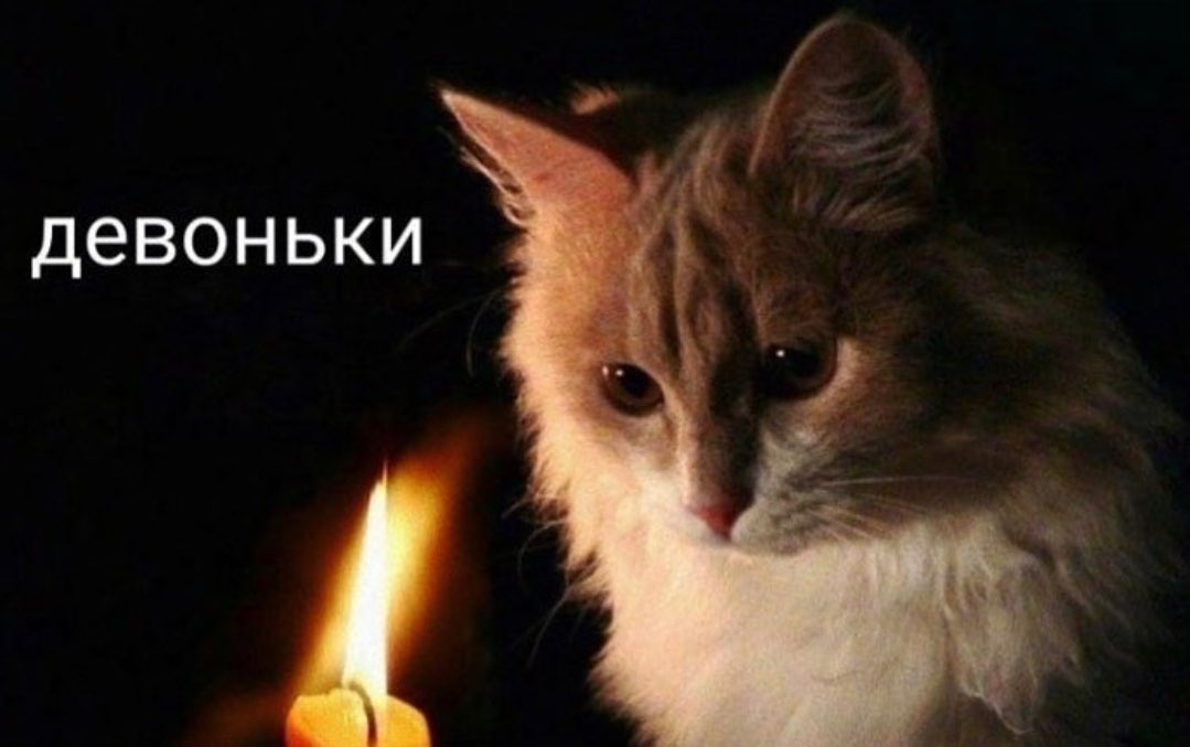 Как же хочется СКУМБРИИ