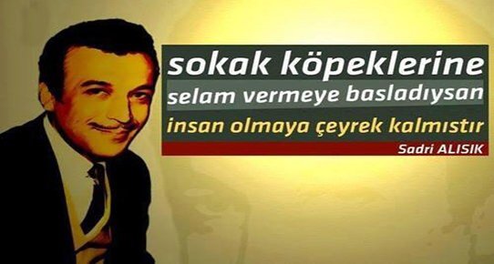 Deniz Özmen tweet media