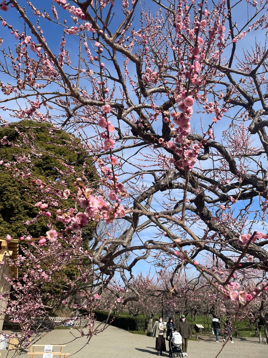 postrogics 偕楽園 水戸黄門 あんこう鍋