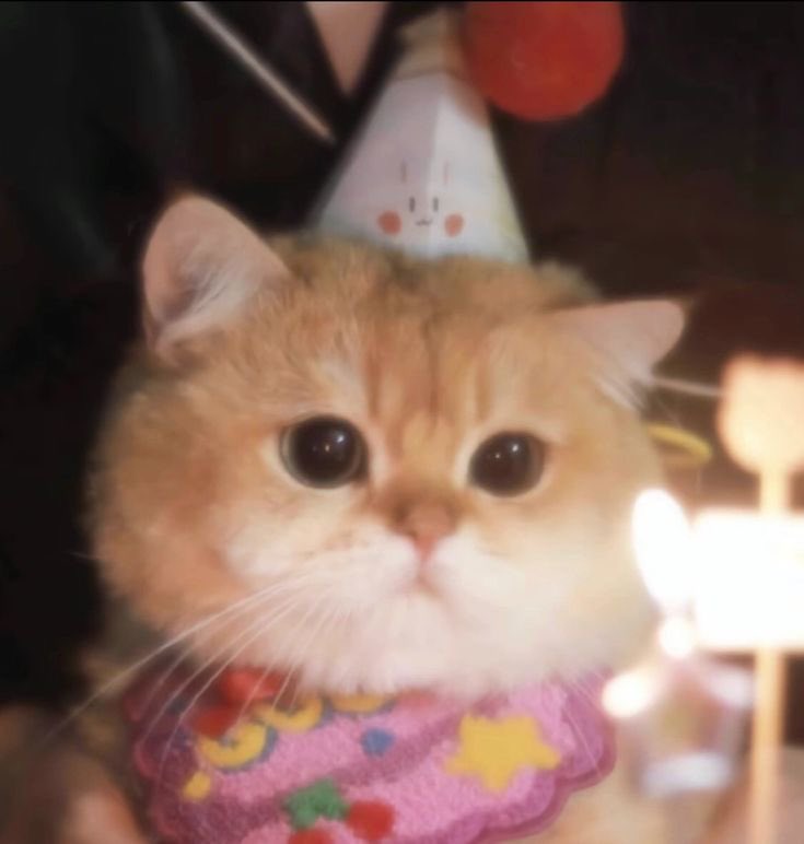 ◡̈ ปะติ๊ด 🍪 ೀ⋆。🖇️ tweet media