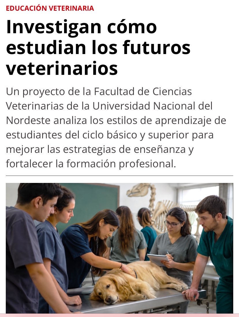 VET MARKET tweet media