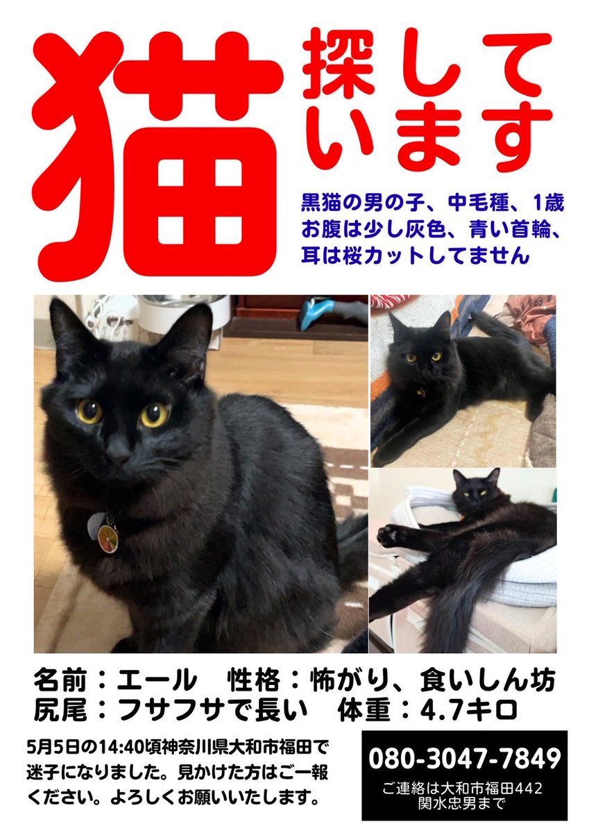 お願いいたします。
皆さんに拡散をお願いいたします。
富山県の猫ちゃんです
