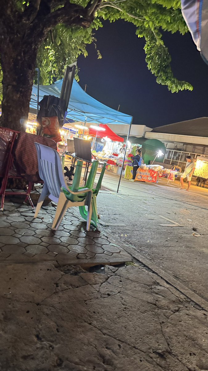 มารตาเดียว tweet media