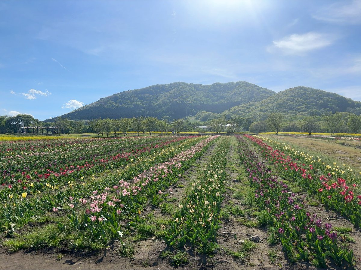 めっちゃ山