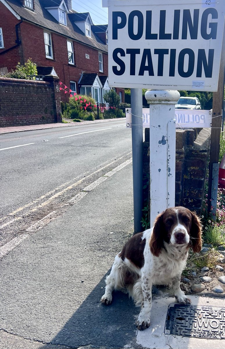 broombrush's tweet photo. @Number10cat Morse inspecting the turnout at Ditchling, East Sussex. @VotingDogs @MattChorley https://t.co/Ob2GIO4fDA