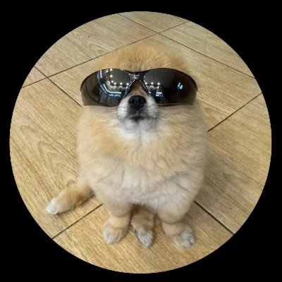 RAMA2047's tweet photo. $KORI was the only meme loved by #Unipcs below 10 Mn marketcap.
if it reaches Atleast 1/10th of #useless ATH i.e 41 mn
That's 20x from here.
3 reasons why you should consider kori
1) Best meme in the space with 16k community
2) Bonkguy backs #kori
3) Beta of useless. https://t.co/NmL0LUR8qM