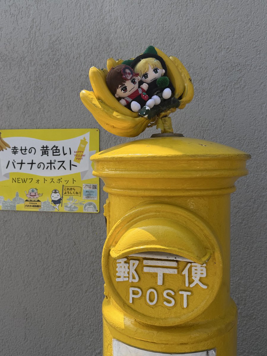 ちこちゃん tweet media