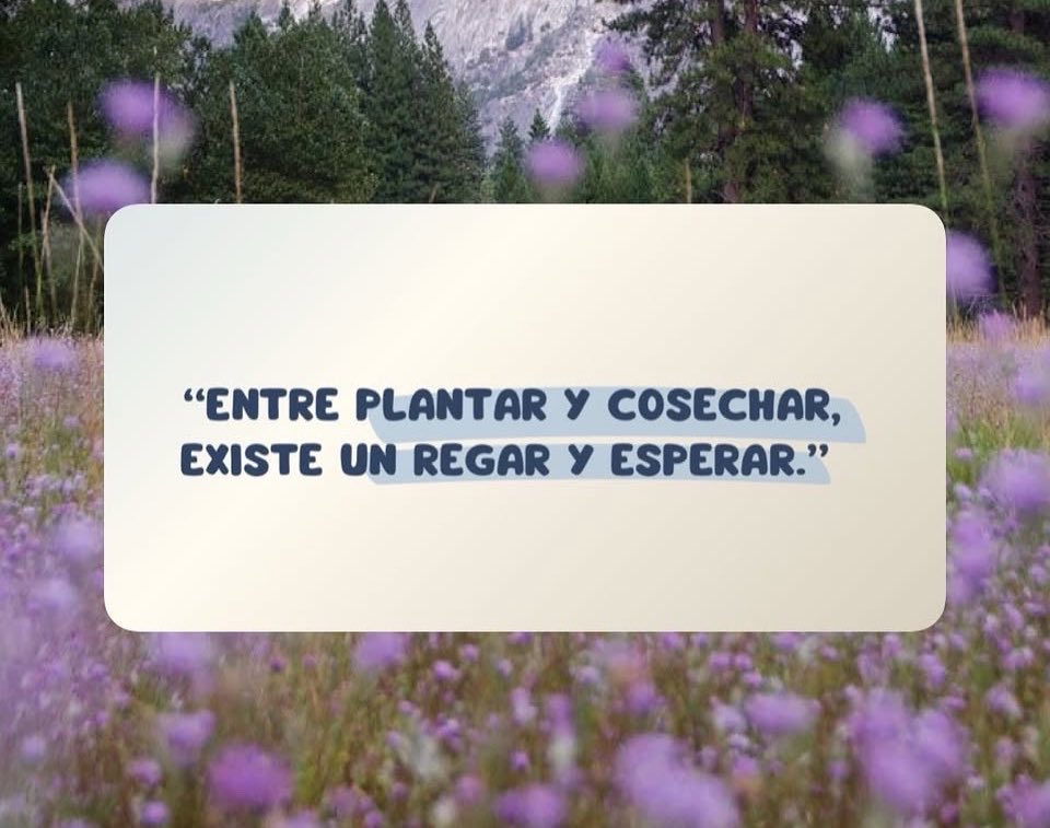 #LaFraseDelDía