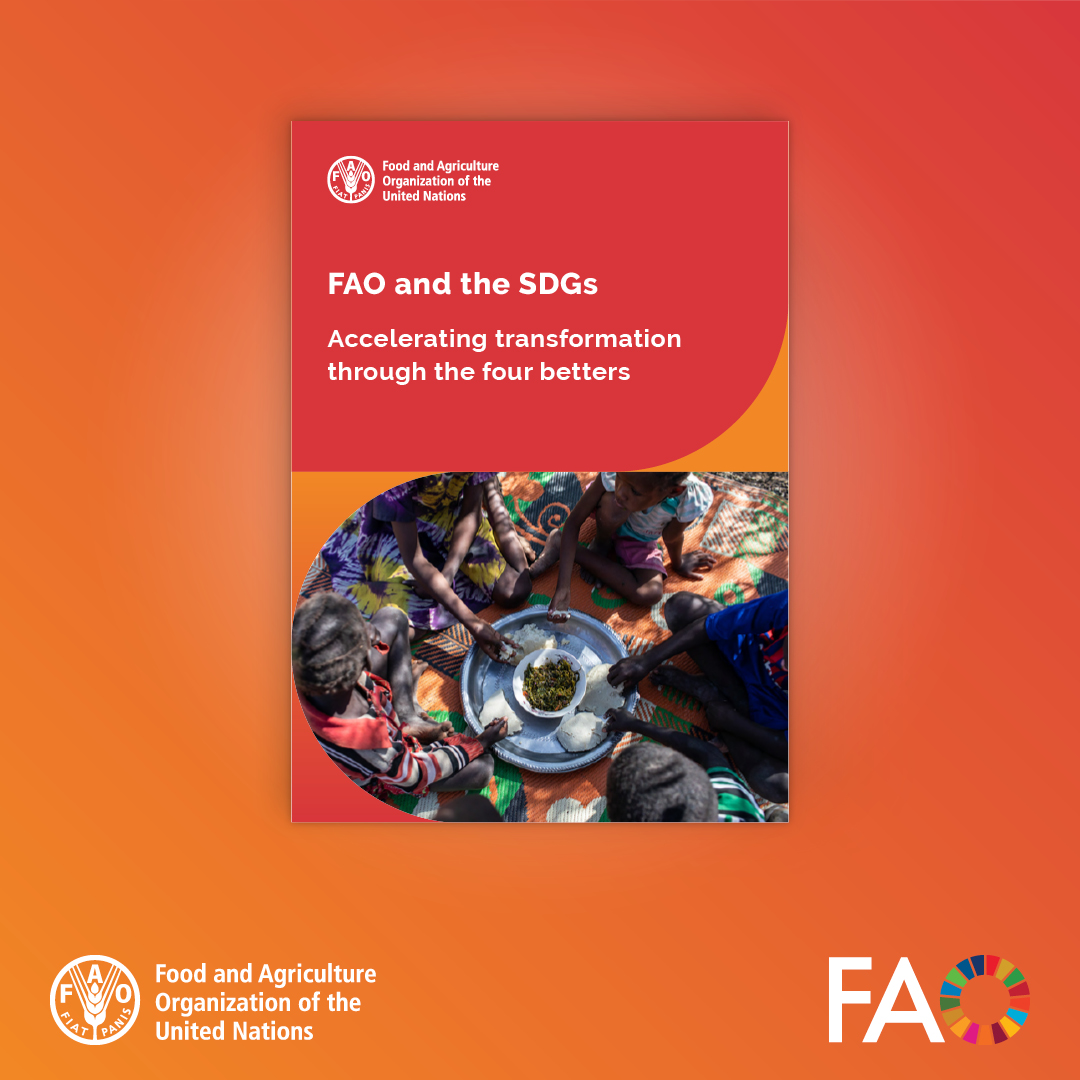 FAO and the SDGs tweet media