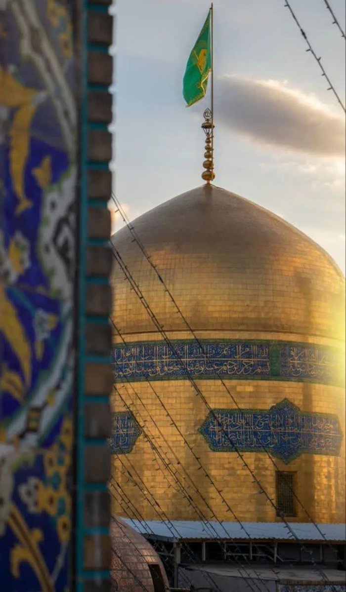 دلتنگی امانمان نمی دهد
ای که ضامن آهو ها شده ای
ضامن ماهم میشوی..؟💔