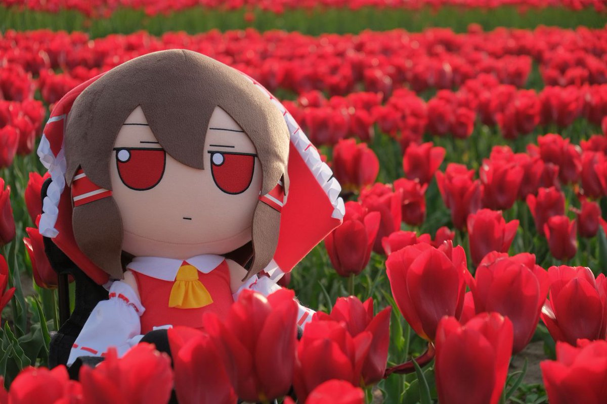 赤いチューリップの世界に、赤い巫女がひとり座る #ふもふも達のいる