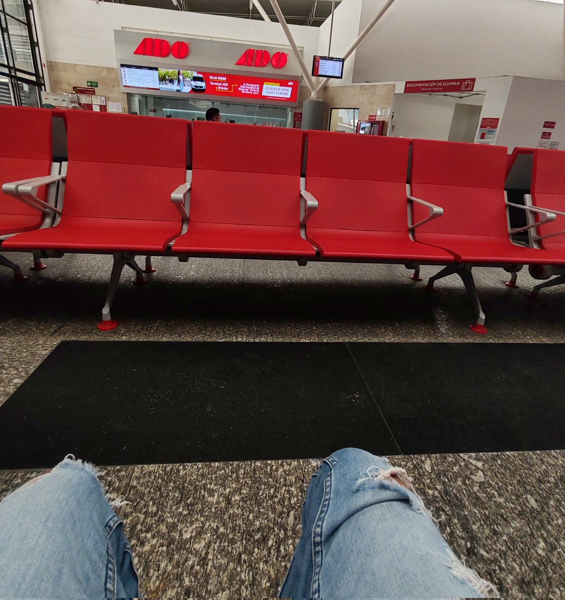 🚌 Veracruz!