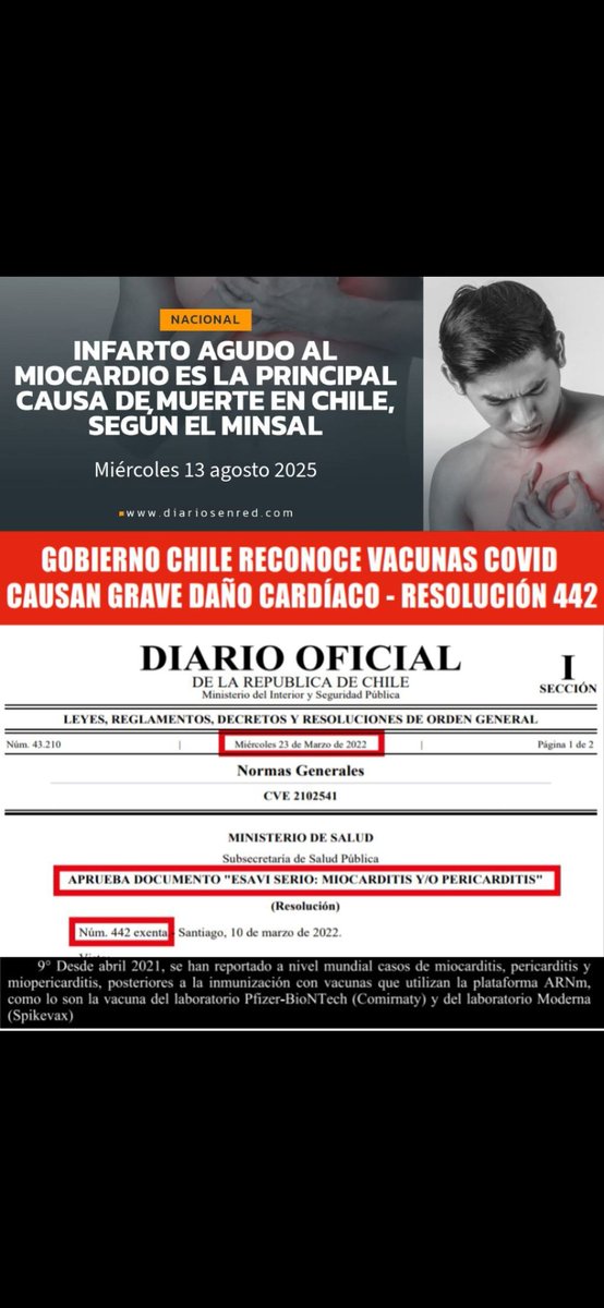 Farolito4K. Rechazo y Encontra tweet media