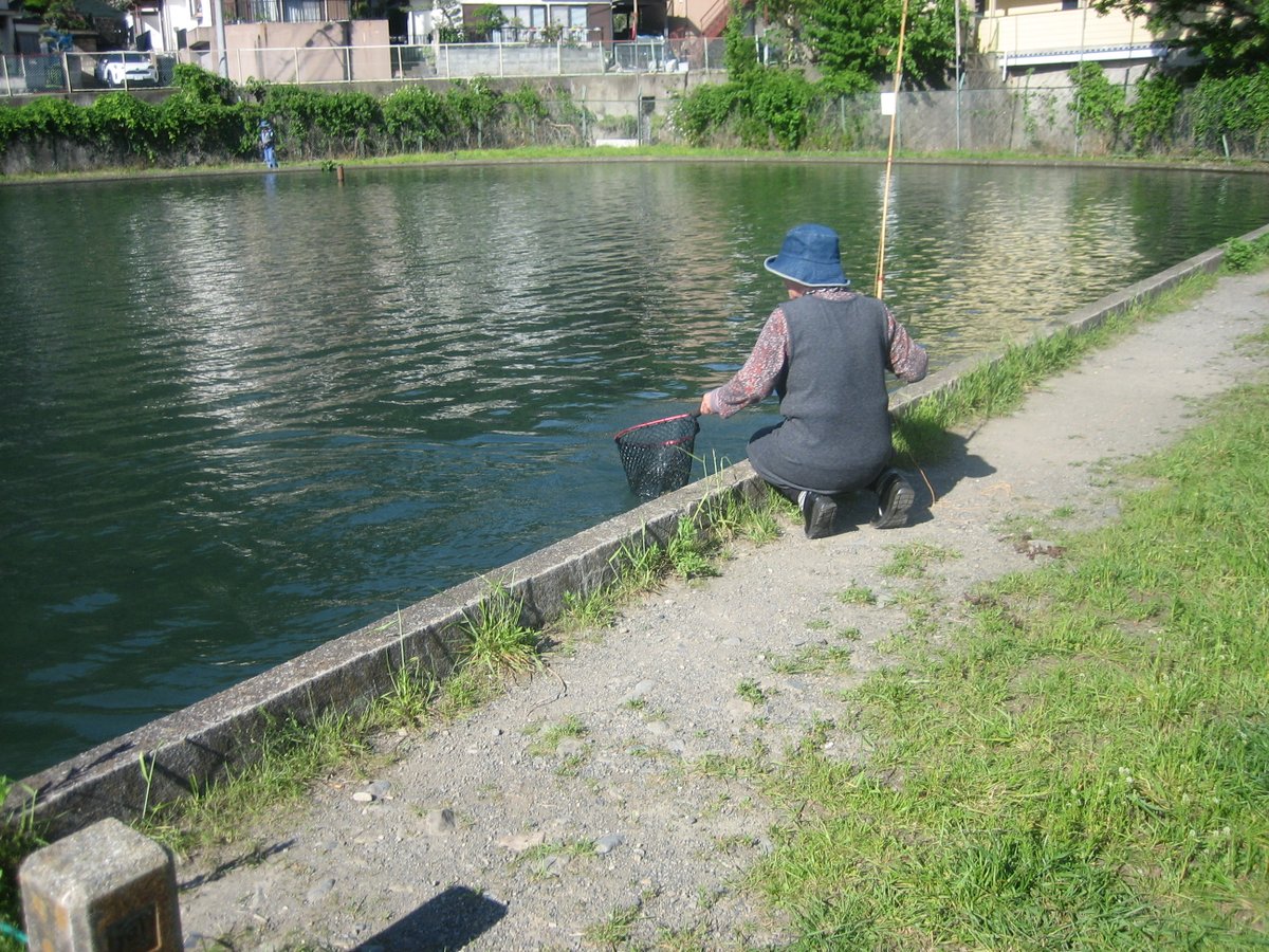 この格好普通のおばさん姿だよなあ。皆冷ややかな目で見ていたと思う。ところが6連チャン。さすがに皆さん見に来た。えーーー。竹竿ですかって。フライ見せてくださいって言うので見せてた。えーーー。木ですかって言われた。主人が作ってますと言って切って使ってくださいと言って渡した。続。