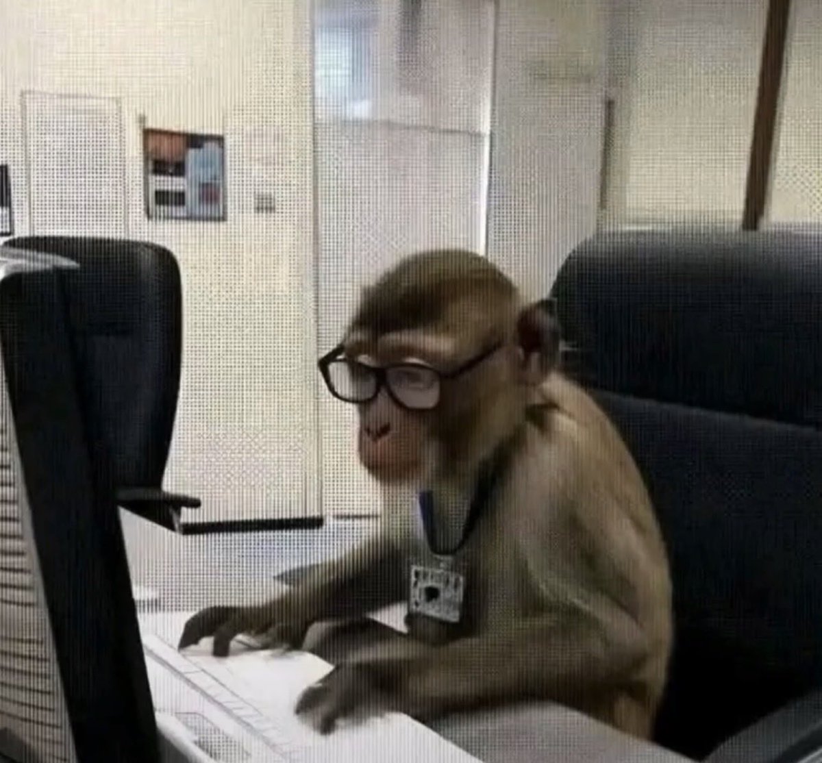 Yo en el trabajo preguntándole a Claude qué tengo que hacer: