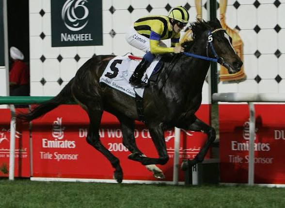 HORSE RACING 100 tweet media