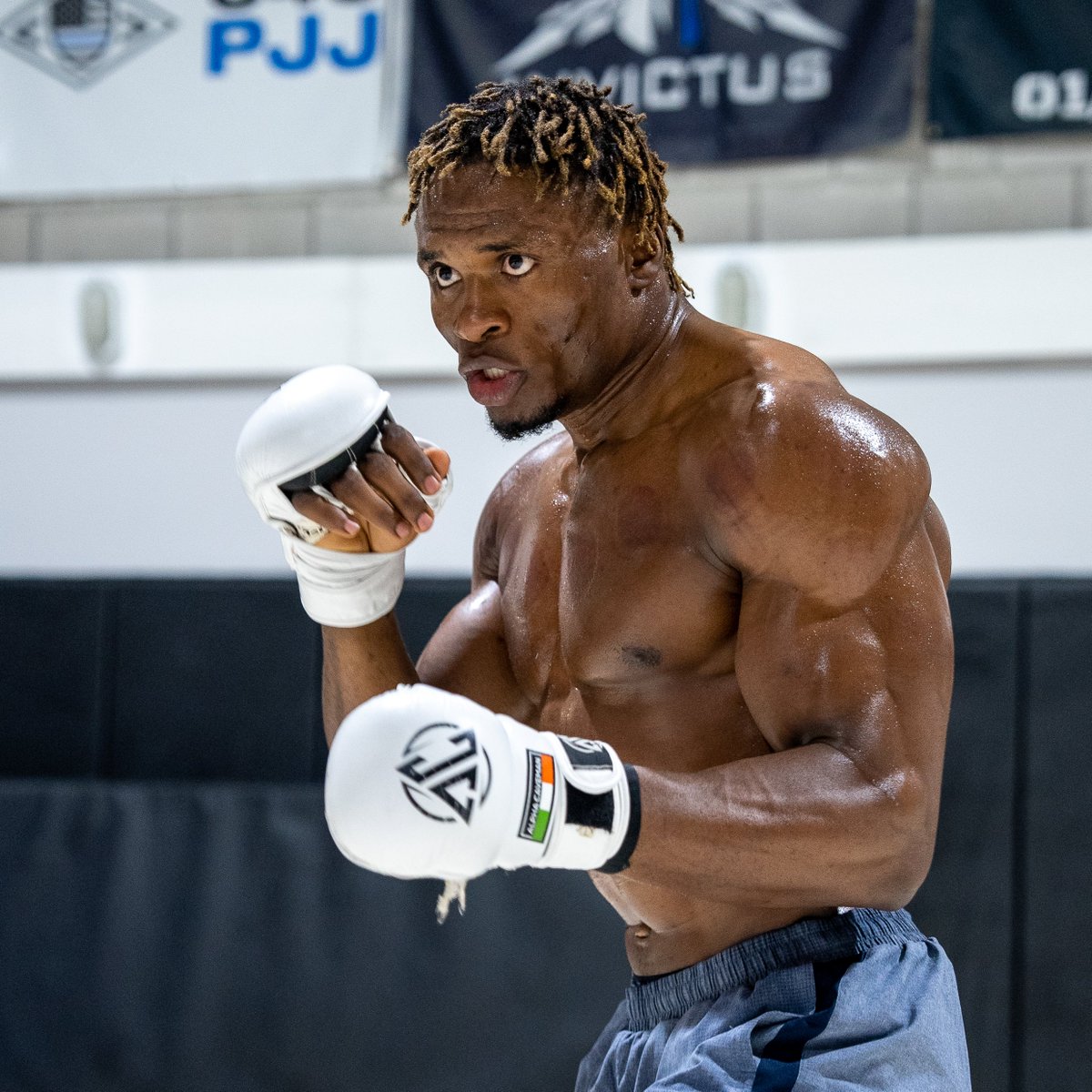 UFC tweet media