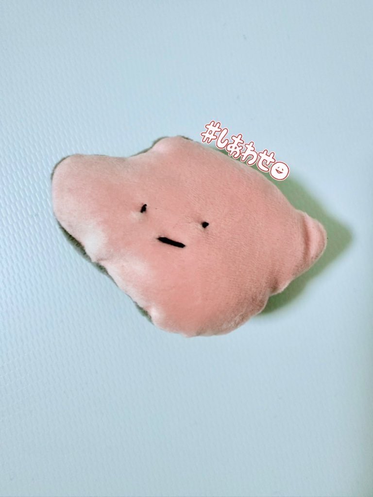 春♪ ₕₐₗᵇᵢₜ₅ tweet media