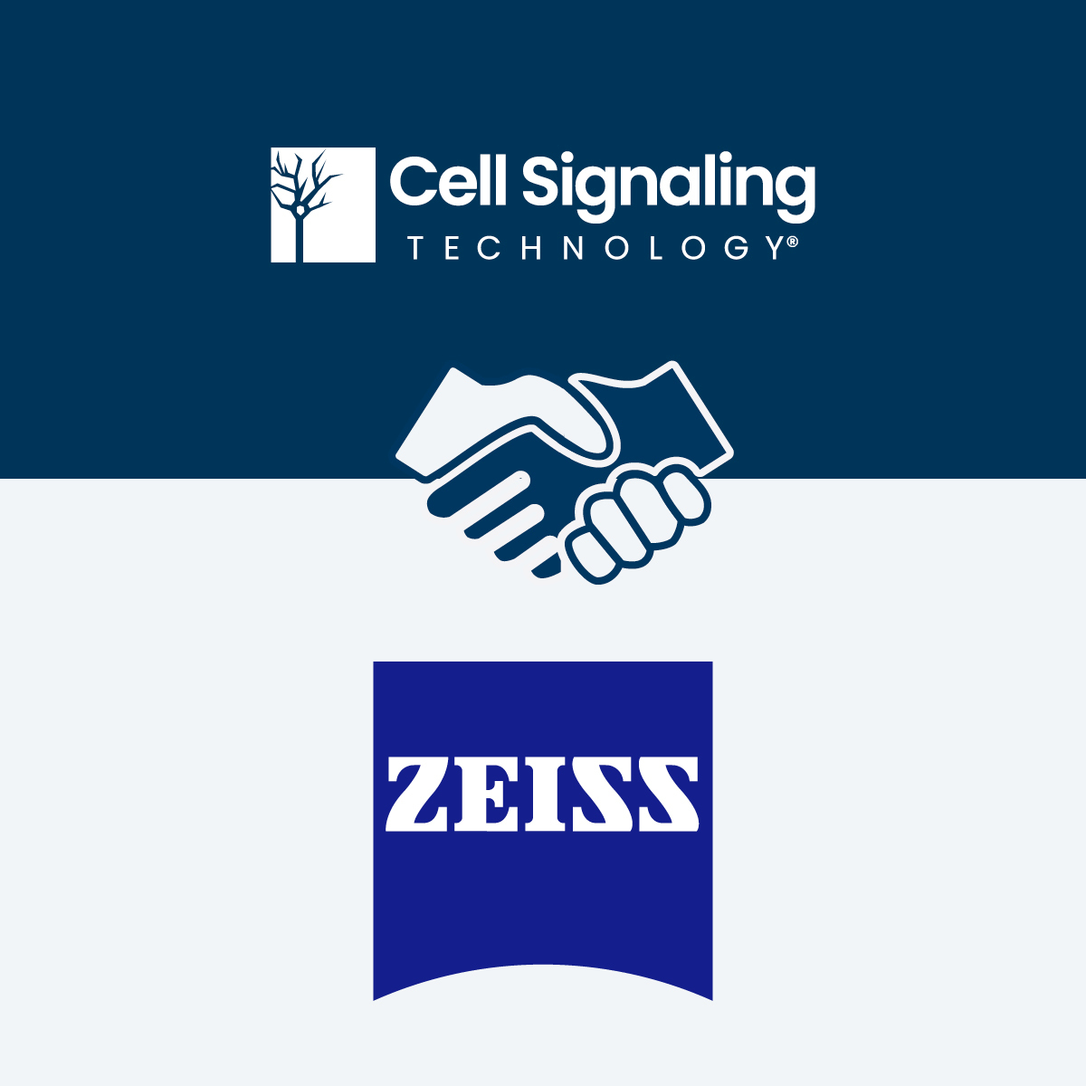 Cell Signaling Technology tweet media