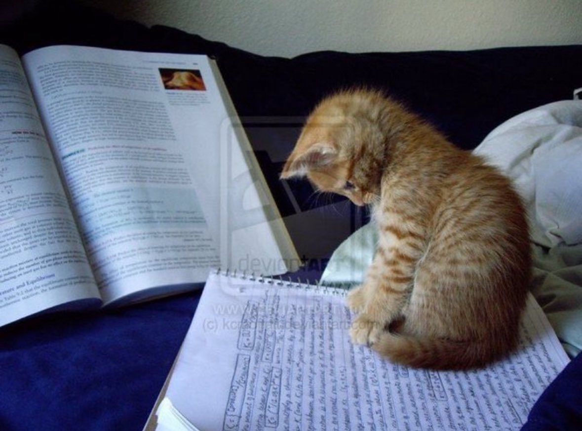 A tweet media