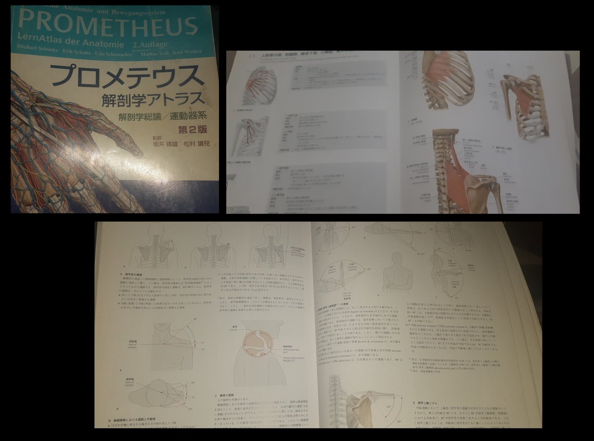 ホワイトアウトDeconstructivism tweet media