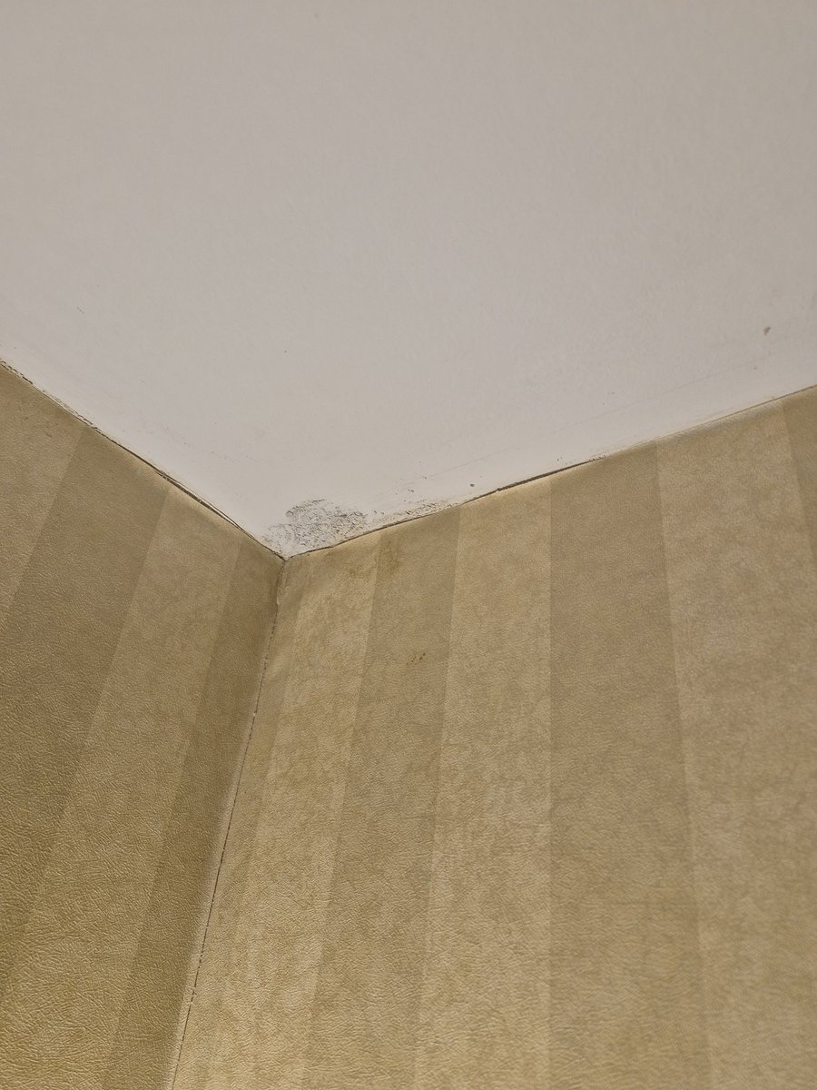 roygochikent's tweet photo. @ResortsCasino Just don't stay here... mold and more mold https://t.co/ucjsbRgGX9