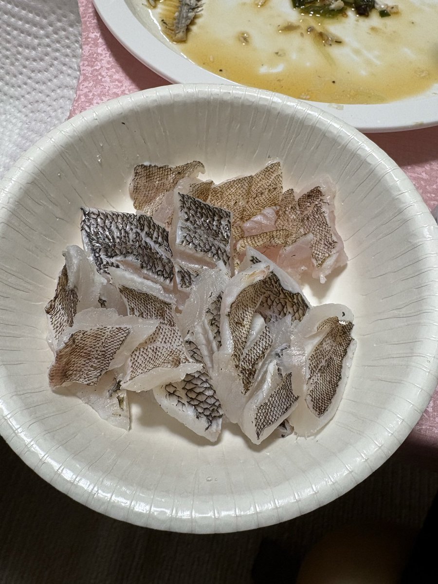 opuKDC's tweet photo. 高知県まで釣り旅行 https://t.co/fwdQp41bZl