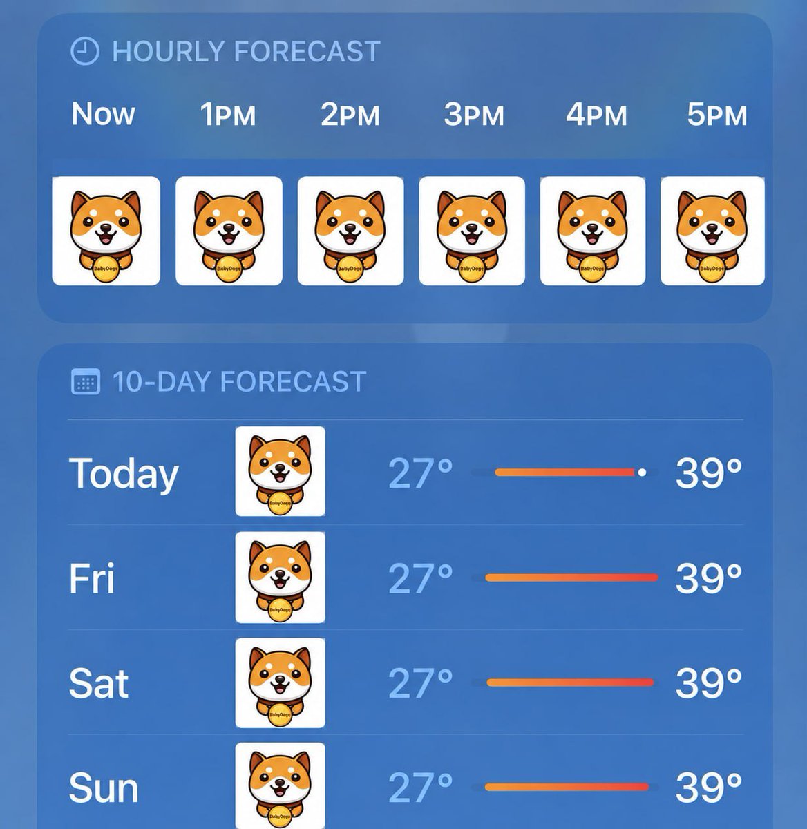 Baby Doge tweet media