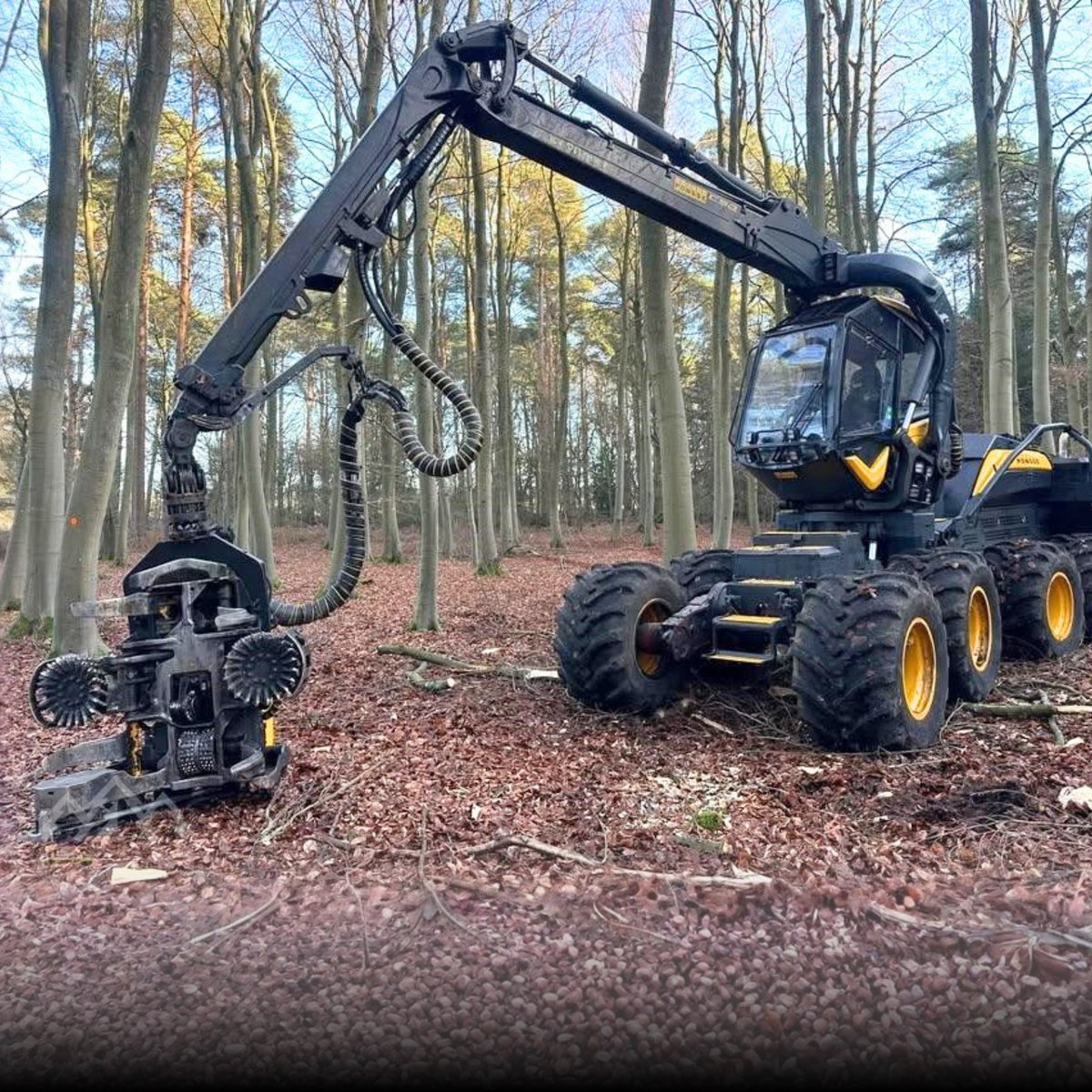 ForestryTrader tweet media
