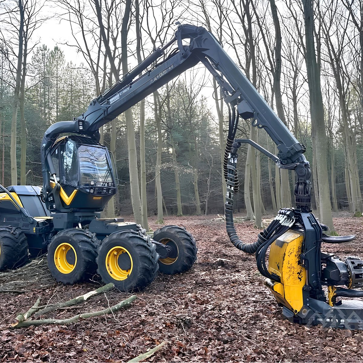 ForestryTrader tweet media