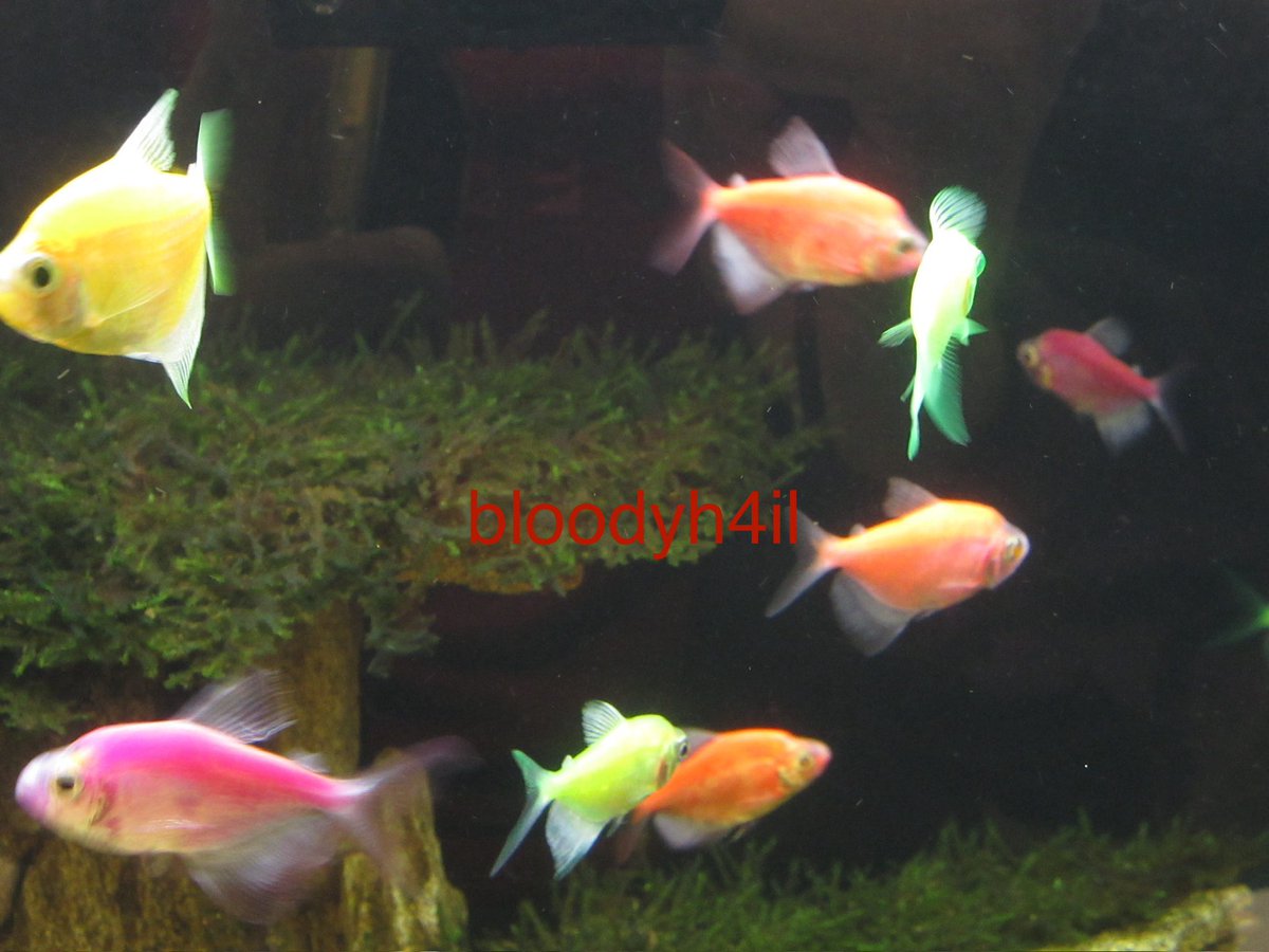 bloodyh4il's tweet photo. wts digicam canon ixus 285 hs

no minus fungsi aman semua
cuma minus body aja lecet lecet

bisa oren (+admin)/manual (freeongkir se indonesia)

hasil foto bisa cek thread 

harga di https://t.co/oaHe9TD4jL (di market place masih 4-5jt an)

t. wtb kamera jual https://t.co/mhoOHlKgTl