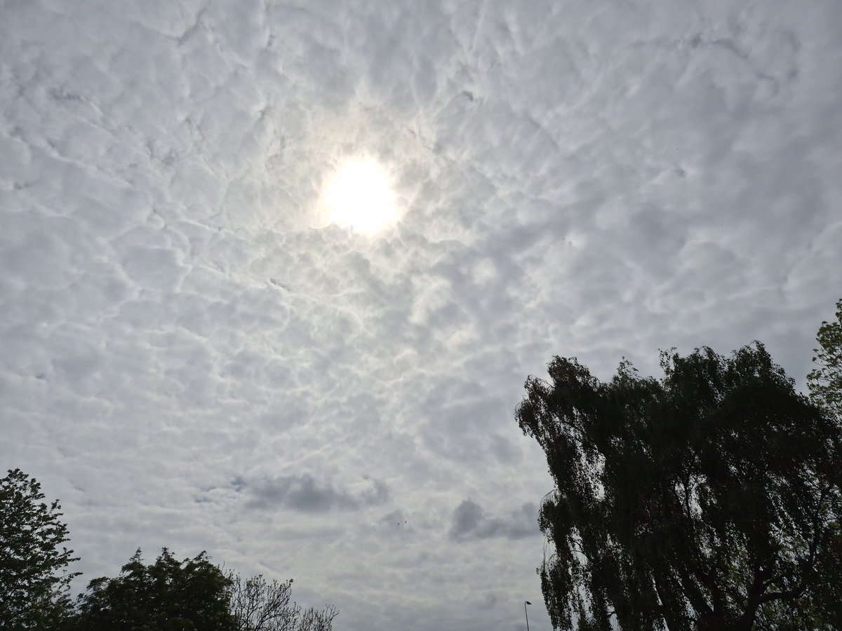 Danger1873's tweet photo. 😡😡😡MAN MADE GREY🤢🤢🤢
The bits that look blue dont look that blue to the eyes but the camera picks it up more than the eyes 🤔
💯man made
The creator will win and the poison will stop because this is pure evil🙏
#CrimesAgainstHumanity
#BanGeoEngineering https://t.co/h4uWXGTL4T