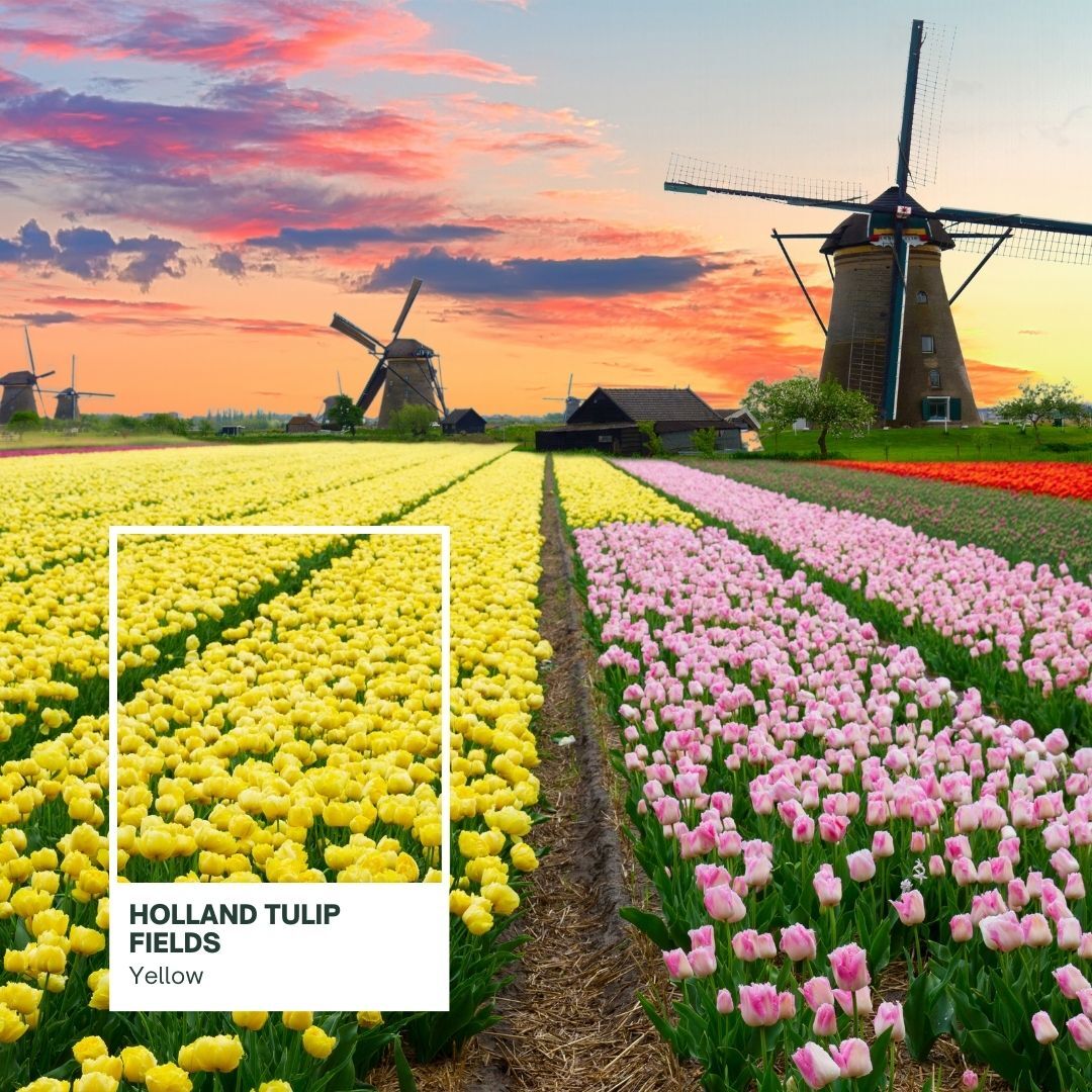 PPJourneys's tweet photo. Here are just a few destinations known for their yellow atmosphere or architecture. Connect with me to visit places like Izamal and Holland and embark on a colorful journey across the world 💛 ✈️ .

#TravelBetter #TravelAgency #TravelAgent #TravelAdvisor #TravelInspo #Izamal... https://t.co/58b2d1TYN1